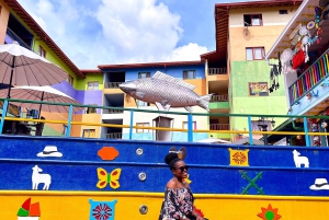 Guatape Tour with Luxury Boat Ride, Meals & Llamas farm