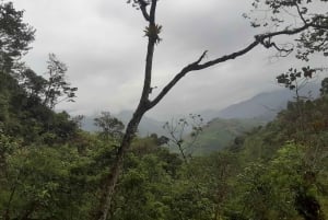 Opastettu kävelyretki Quinchanaan, värikkääseen esi-isien kylään