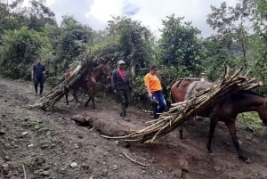 Opastettu kävelyretki Quinchanaan, värikkääseen esi-isien kylään