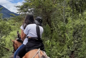 Opastettu kävelyretki Quinchanaan, värikkääseen esi-isien kylään