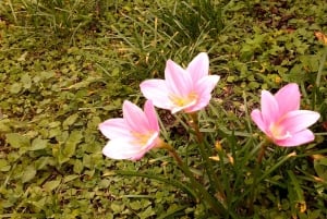 Opastettu kävelyretki Quinchanaan, värikkääseen esi-isien kylään