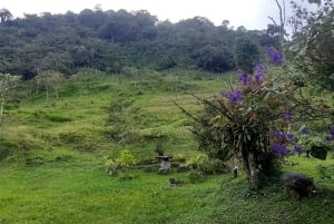 Opastettu kävelyretki Quinchanaan, värikkääseen esi-isien kylään