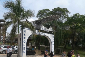 Hacienda Napoles: Full-Day Private Tour from Medellin