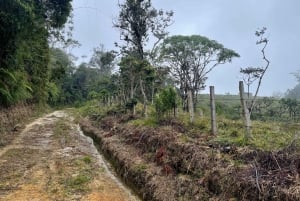 Hike in the El Oso reserve: a paradise for nature & adventure lovers