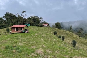 Hike in the El Oso reserve: a paradise for nature & adventure lovers