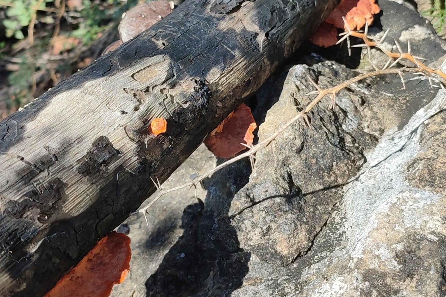 Hiking Guane - La Fuente: Abenteuer im tropischen Trockenwald