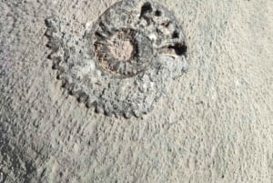 Hiking Guane - La Fuente: Adventure in the Tropical Dry Forest