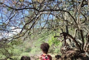 Hiking Guane - La Fuente: Adventure in the Tropical Dry Forest