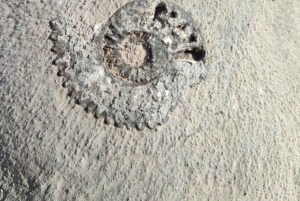 Hiking Guane - La Fuente: Abenteuer im tropischen Trockenwald