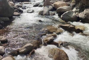 Hiking Guane - La Fuente: Abenteuer im tropischen Trockenwald