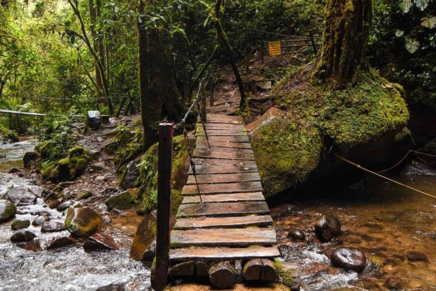 Wanderung durch das Cocora-Tal, Casa de los colibríes Acaime