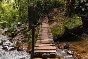 Fottur i Cocora-dalen, Casa de los colibríes Acaime