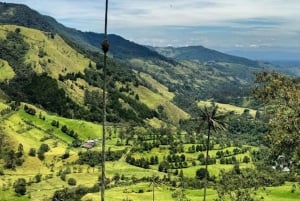 Fottur i Cocora-dalen, Casa de los colibríes Acaime