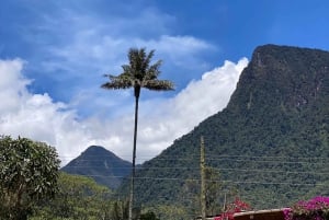 Fottur i Cocora-dalen, Casa de los colibríes Acaime
