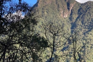 Fottur i Cocora-dalen, Casa de los colibríes Acaime