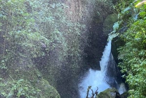 Fottur i Cocora-dalen, Casa de los colibríes Acaime