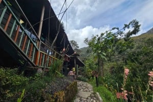 Fottur i Cocora-dalen, Casa de los colibríes Acaime