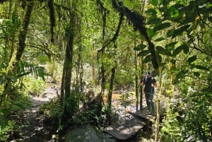 Fottur i Cocora-dalen, Casa de los colibríes Acaime