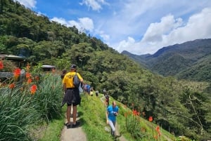 Fottur i Cocora-dalen, Casa de los colibríes Acaime