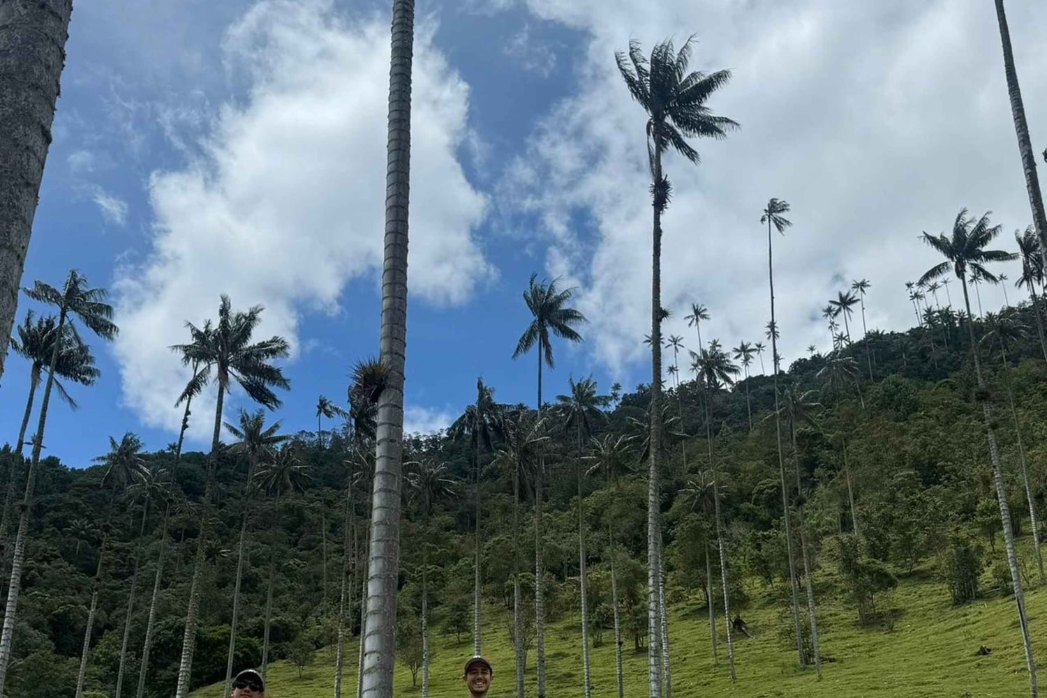 wędrówka po dolinie Cocora i wycieczka po Salento