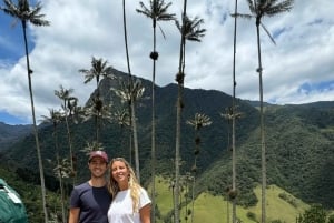 wędrówka po dolinie Cocora i wycieczka po Salento