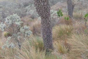 Пеший поход по самому большому парамосу на Земле: Сумапас