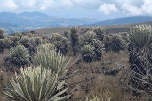 Пеший поход по самому большому парамосу на Земле: Сумапас