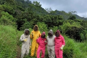 Honningtur i La Amalia