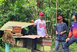 Honningtur i La Amalia