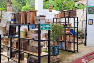 Honningtur i La Amalia