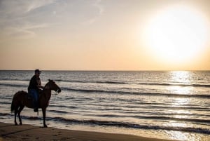 HORSE TOUR IN CARTAGENA BEACH