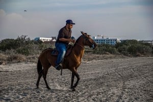 HORSE TOUR IN CARTAGENA BEACH