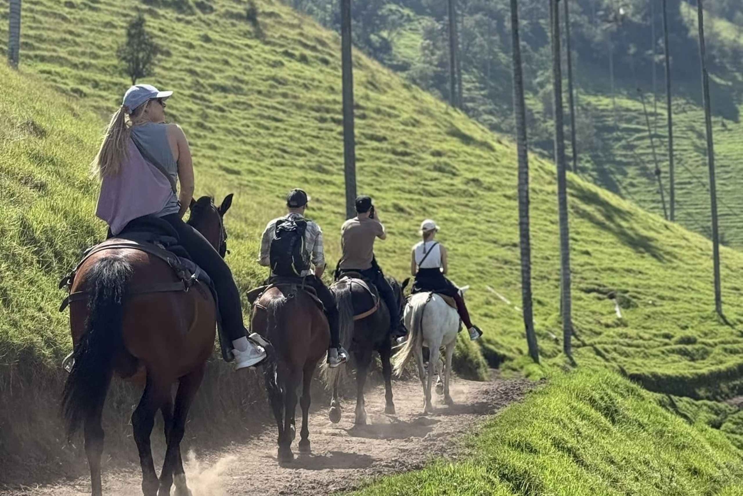 Horseback riding and hiking in the Cocora Valley + Coffee Experience