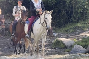 Ridning og vandring i Cocora-dalen + kaffeoplevelse