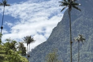 Ridning og vandring i Cocora-dalen + kaffeoplevelse