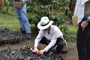 Ridning og vandring i Cocora-dalen + kaffeoplevelse