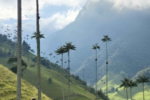 Horseback riding and hiking in the Cocora Valley + Coffee Experience