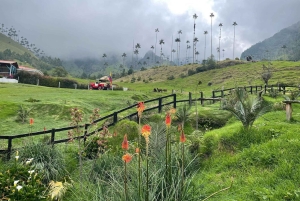 Horseback riding and hiking in the Cocora Valley + Coffee Experience