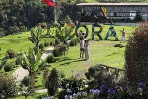 Horseback riding and hiking in the Cocora Valley + Coffee Experience