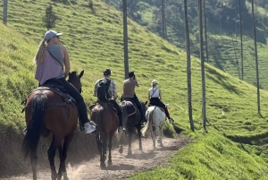 Horseback riding and hiking in the Cocora Valley + Coffee Experience