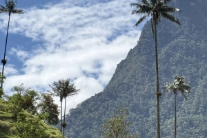 Horseback riding and hiking in the Cocora Valley + Coffee Experience