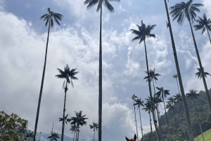 Horseback riding and hiking in the Cocora Valley + Coffee Experience