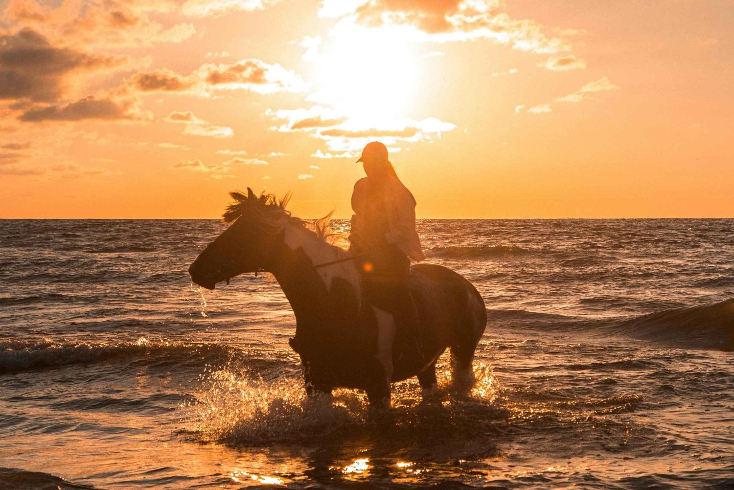 Horseback riding at sunset: Horseback riding in front of the sea