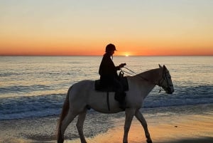 Przejażdżka konna o zachodzie słońca: Wycieczka konna nad brzegiem morza