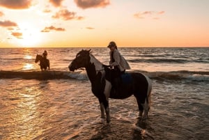 Przejażdżka konna o zachodzie słońca: Wycieczka konna nad brzegiem morza