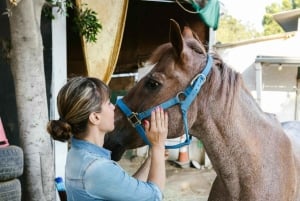 Reiten in Barichara: Eine Reise zu Pferd durch historische Orte