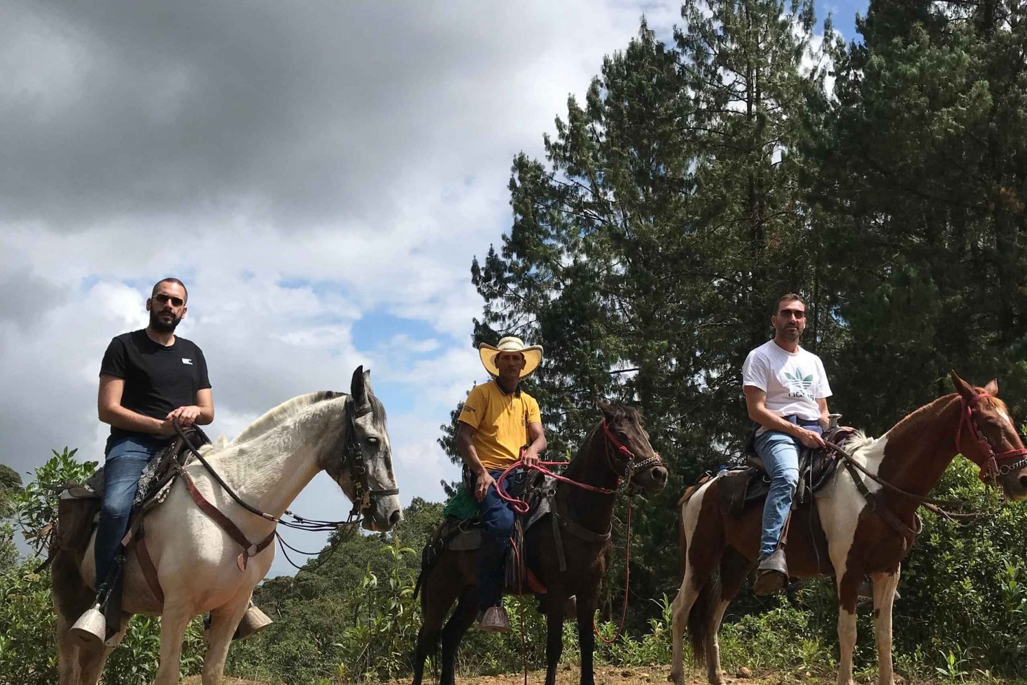 Passeio a cavalo pelas montanhas de Medellín