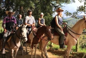 Horseback riding through the mountains of Medellín