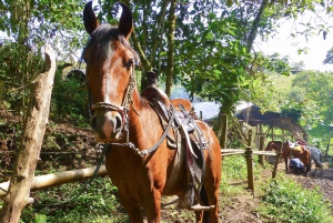Horseback Riding Tour and visit to Tablón, Chaquira, Pelota