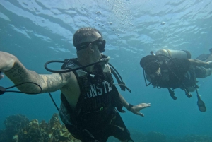 Hotel Isla del Sol, in the Rosario Islands: Day Pass with Open Bar
